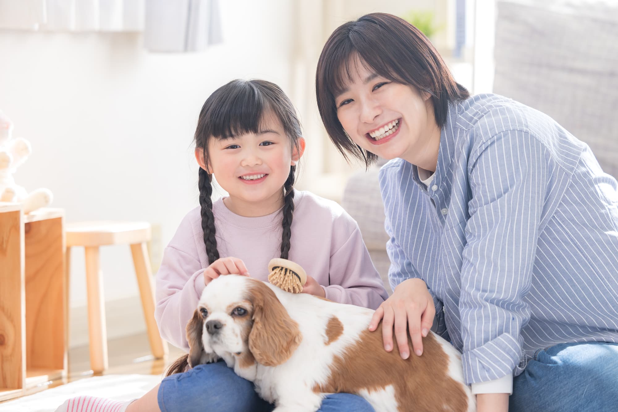 犬を膝に乗せブラッシングする笑顔の子どもと母親